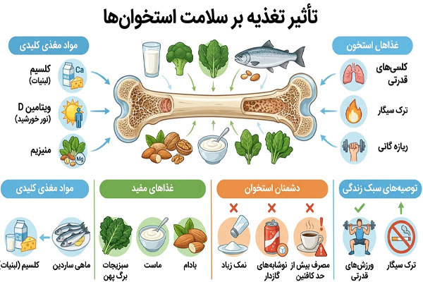 تاثیر تغذیه بر استخوان‌ها 