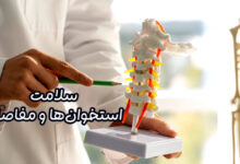 سلامت استخوان‌ها