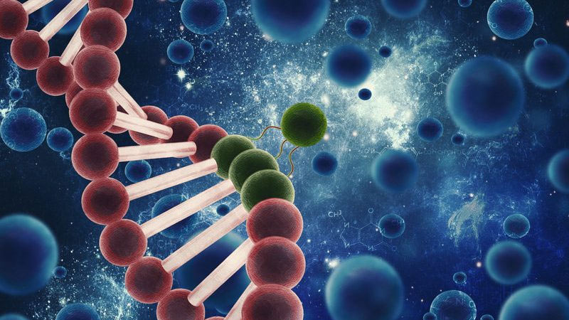 سلول درمانی